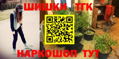 стаф Ливны