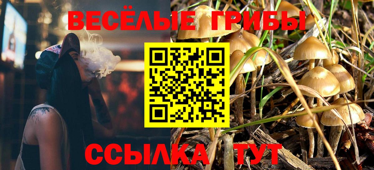 Псилоцибиновые грибы мицелий  Добрянка  Псилоцибиновые грибы Magic Shrooms 