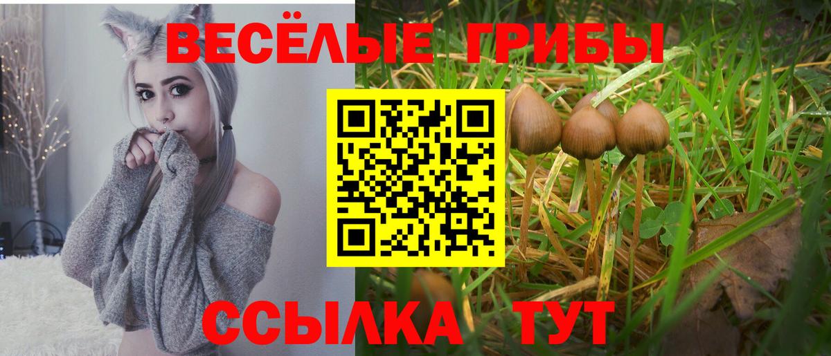 Галлюциногенные грибы MAGIC MUSHROOMS Добрянка