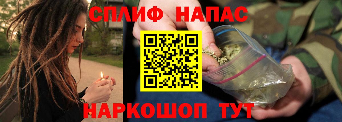 Конопля сатива Добрянка